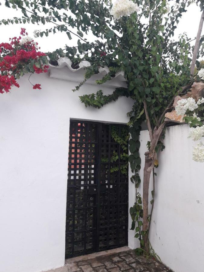 Tavira Townhome With Private Garden Εξωτερικό φωτογραφία